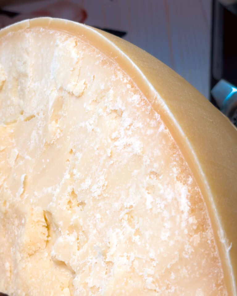 Parmigiano-4