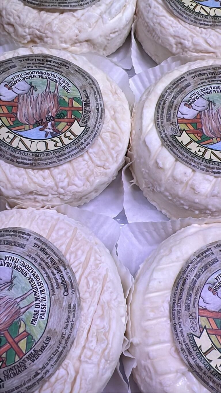 WhatsApp Image 2025-06-26 at 18.33.16 (1)